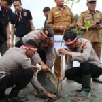 Tanam Serentak Se- Polda Aceh, Polres Aceh Selatan Tanam 3.200 Mangrove