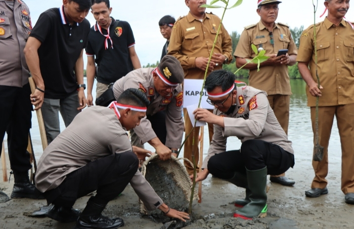 Tanam Serentak Se- Polda Aceh, Polres Aceh Selatan Tanam 3.200 Mangrove