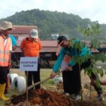 Sambut HUT Aceh Selatan, Pemkab Gotong Royong Massal dan Tanam Pohon