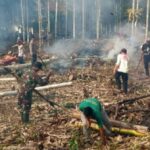 Jumat Bersih, Koramil 14/Pasie Raja Gotong Royong di Ponpes Al-Jajilurrahmah