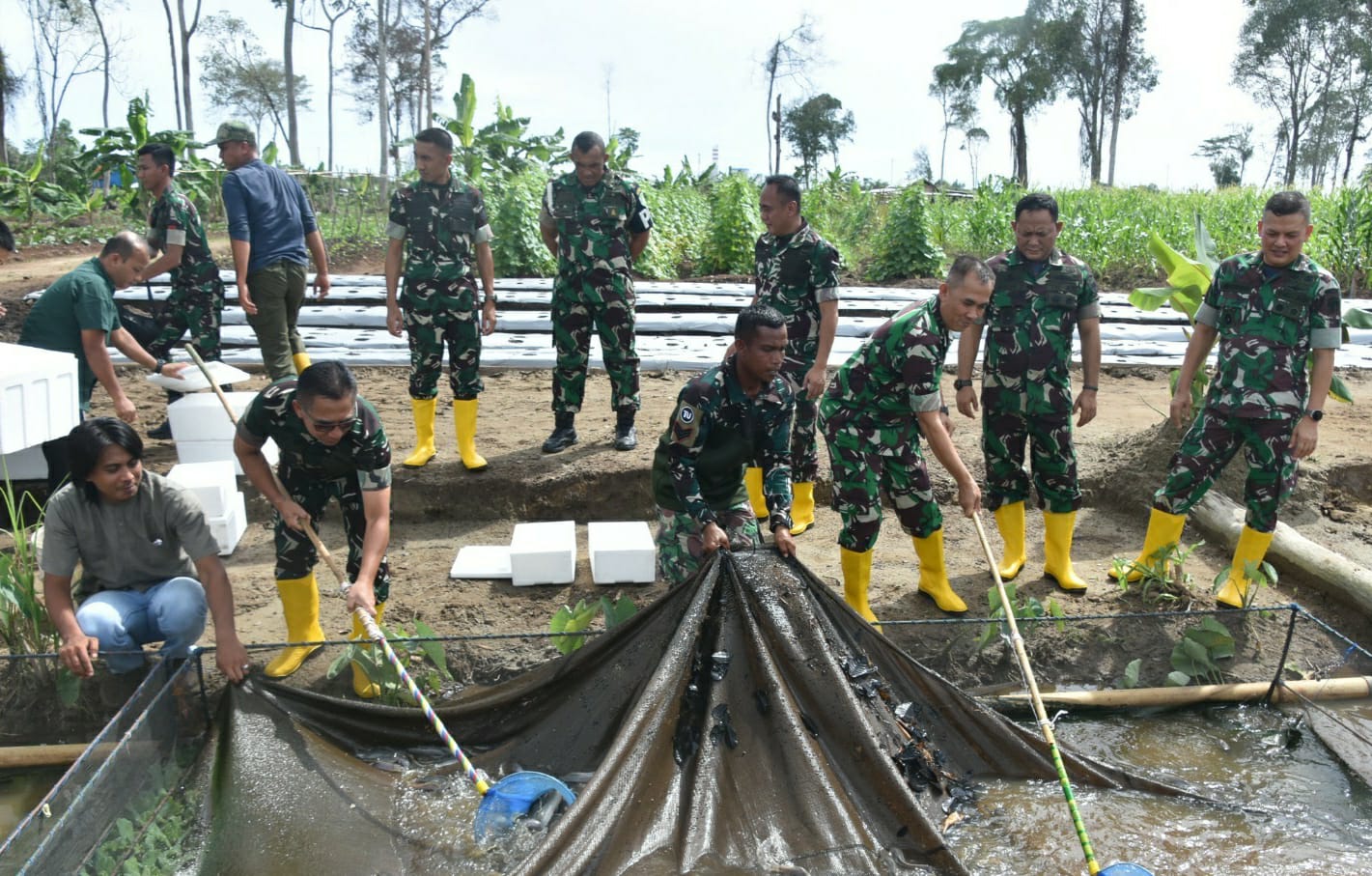 Kasdam IM: Food Estate Korem 012/TU Dorong Produktivitas Pangan Nasional