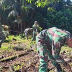 Dandim 0105 Aceh Barat Kerahkan Prajurit Bersihkan Makam Pahlawan