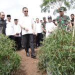 Danrem 012/TU Sambut Pejabat Gubernur Aceh Tinjau Lahan Poktan Teuku Umar Farm