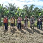 Polsek Rundeng Dukung Program Kerja Ketahanan Pangan Koramil 02/Rundeng