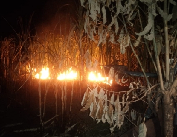 Sijago Merah Lalap Setengah Hektar Lahan, Pos Damkar Labuhanhaji Lakukan Pemadaman