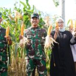 Pangdam IM Mayjen TNI Novi Helmi Berkunjung ke Lahan Ketahanan Pangan Food Estate Korem 012/TU