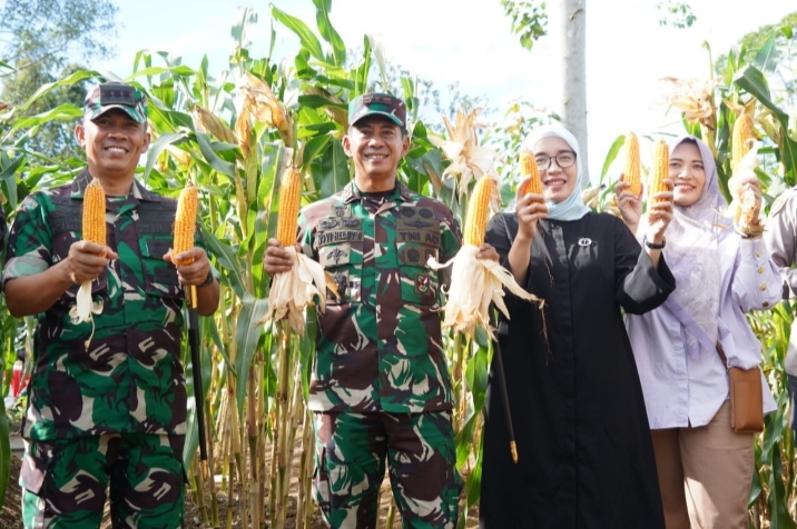 Pangdam IM Mayjen TNI Novi Helmi Berkunjung ke Lahan Ketahanan Pangan Food Estate Korem 012/TU
