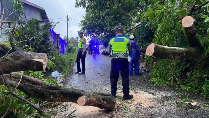 Personel Polres Subulussalam Bersihkan Pohon Tumbang di Jalan Akibat Hujan Disertai Angin Kencang