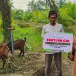 PT Prima Agro Aceh Lestari Salurkan CSR Kepada Masyarakat Kurang Mampu Berupa Hewan Ternak