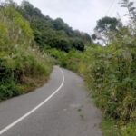 Semak Belukar Ganggu Pengguna Jalan Lintas Terangon – Abdya