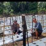 Bhabinkamtibmas Polsek Kluet Timur Beri Motivasi Masyarakat dalam Menjaga Ketahanan Pangan