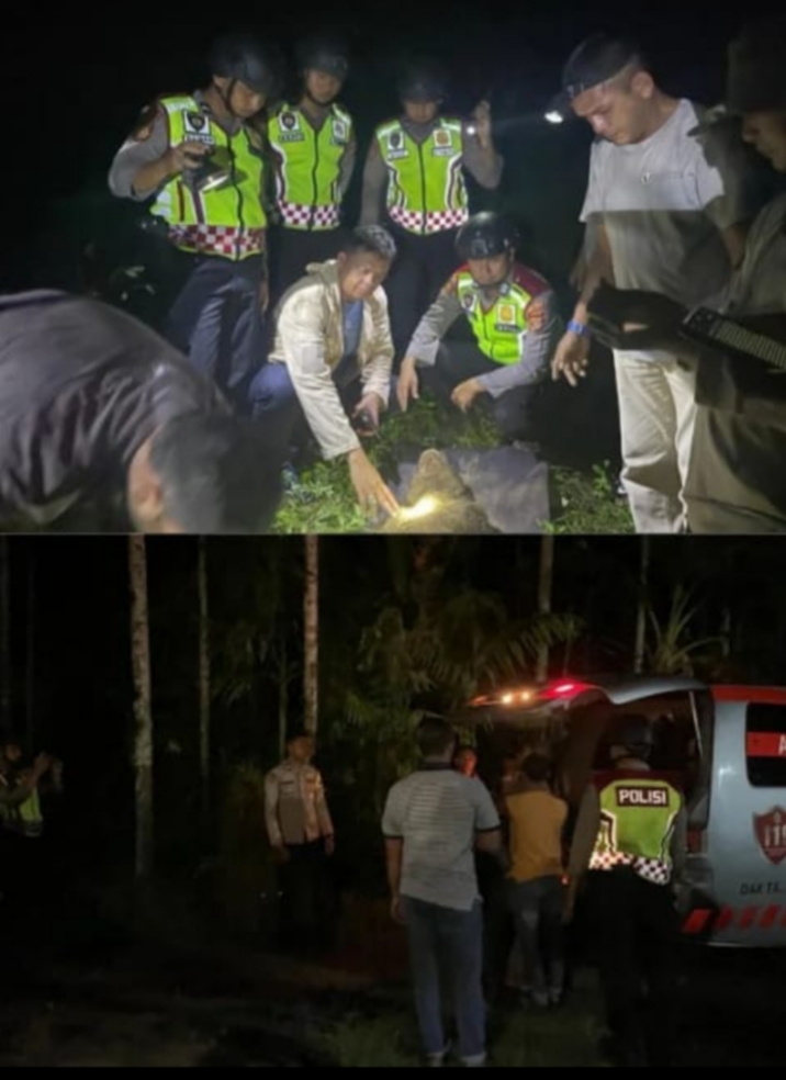 Tim Patroli Perintis Presisi Polres Aceh Jaya Amankan Masyarakat ODGJ dan Bantu Evakuasi Beruang