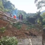 Longsor Disertai Pohon Tumbang Tutupi Badan Jalan ke Gampong Panton Luas