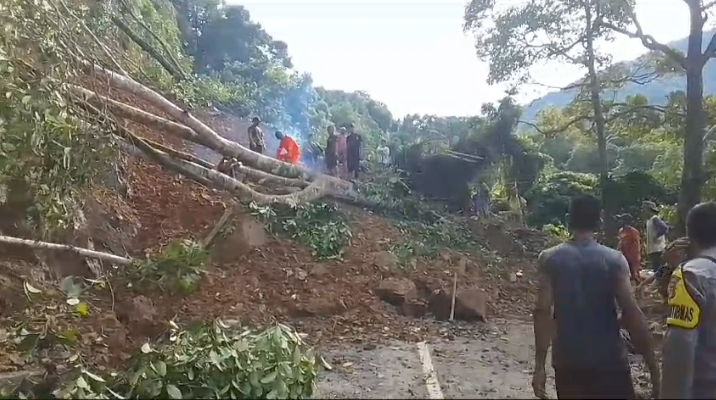Longsor Disertai Pohon Tumbang Tutupi Badan Jalan ke Gampong Panton Luas