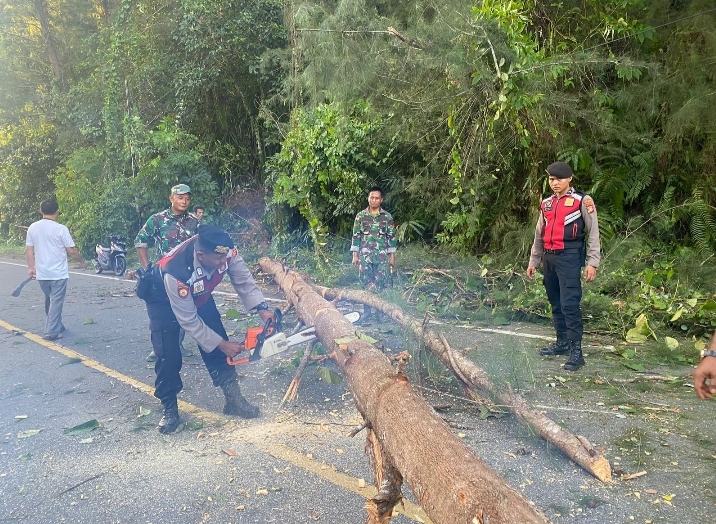 Polisi Bersama Masyarakat dan TNI Bersihkan Pohon Tumbang di Gunong Cincrang