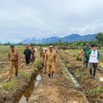 PJ Bupati Kunjungi Lahan Pertanian Milik Pemerintah Kabupaten Aceh Selatan