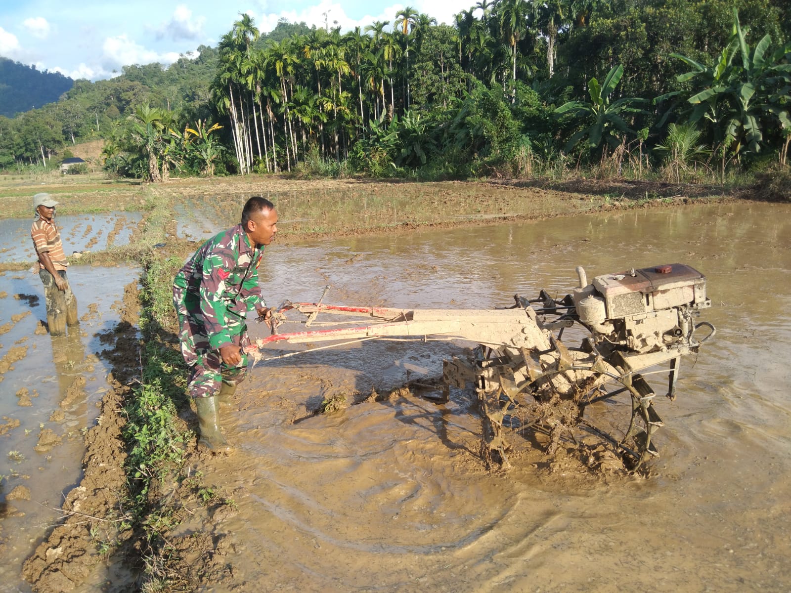 Dukung Ketahanan Pangan, Babinsa Kodim 0107 Turun ke Sawah Bantu Petani