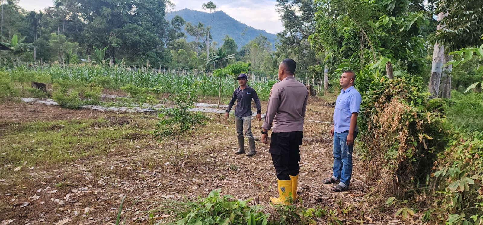 Dukung Asta Cita, Kapolsek Jaya Tinjau Lahan Potensial Penanaman Jagung di Desa Bak Paoh