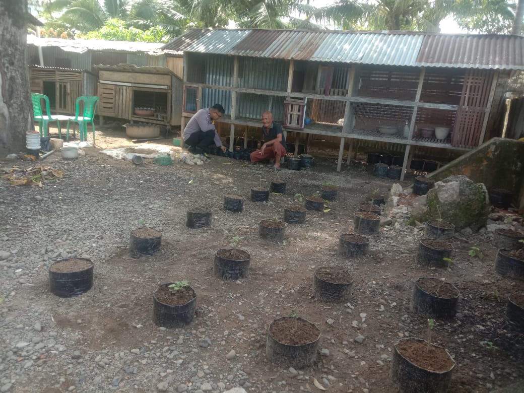 Dukung Program Ketahanan pangan, Bhabinkamtibmas Polsek Tapaktuan Gerakkan Pemanfaatan Lahan Pekarangan