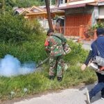 Cegah DBD, Babinsa Koramil 01/Tapaktuan Bersama Dinkes Lakukan Fogging