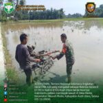 TNI di Aceh Utara Bantu Petani Bajak Sawah