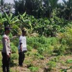 Bhabinkamtibmas Polsek Labuhanhaji Ajak Warga Tanam Tanaman Bergizi Mendukung Program Asta Cita