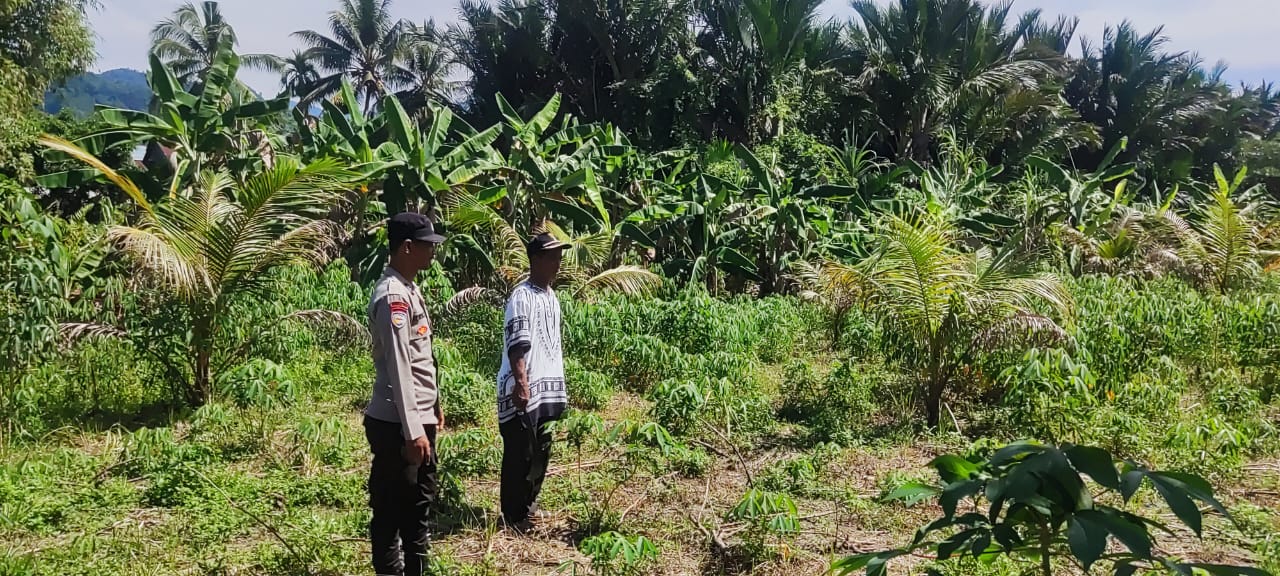 Bhabinkamtibmas Polsek Labuhanhaji Ajak Warga Tanam Tanaman Bergizi Mendukung Program Asta Cita