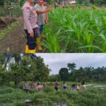 Polsek Trumon Timur Dukung Program Ketahanan Pangan Melalui Pengelolaan Kebun Produktif