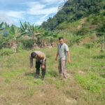 Bhabinkamtibmas Polsek Kluet Tengah Terus Ajak Warga Manfaatkan Pekarangan Untuk Tanam Tanaman Bergizi