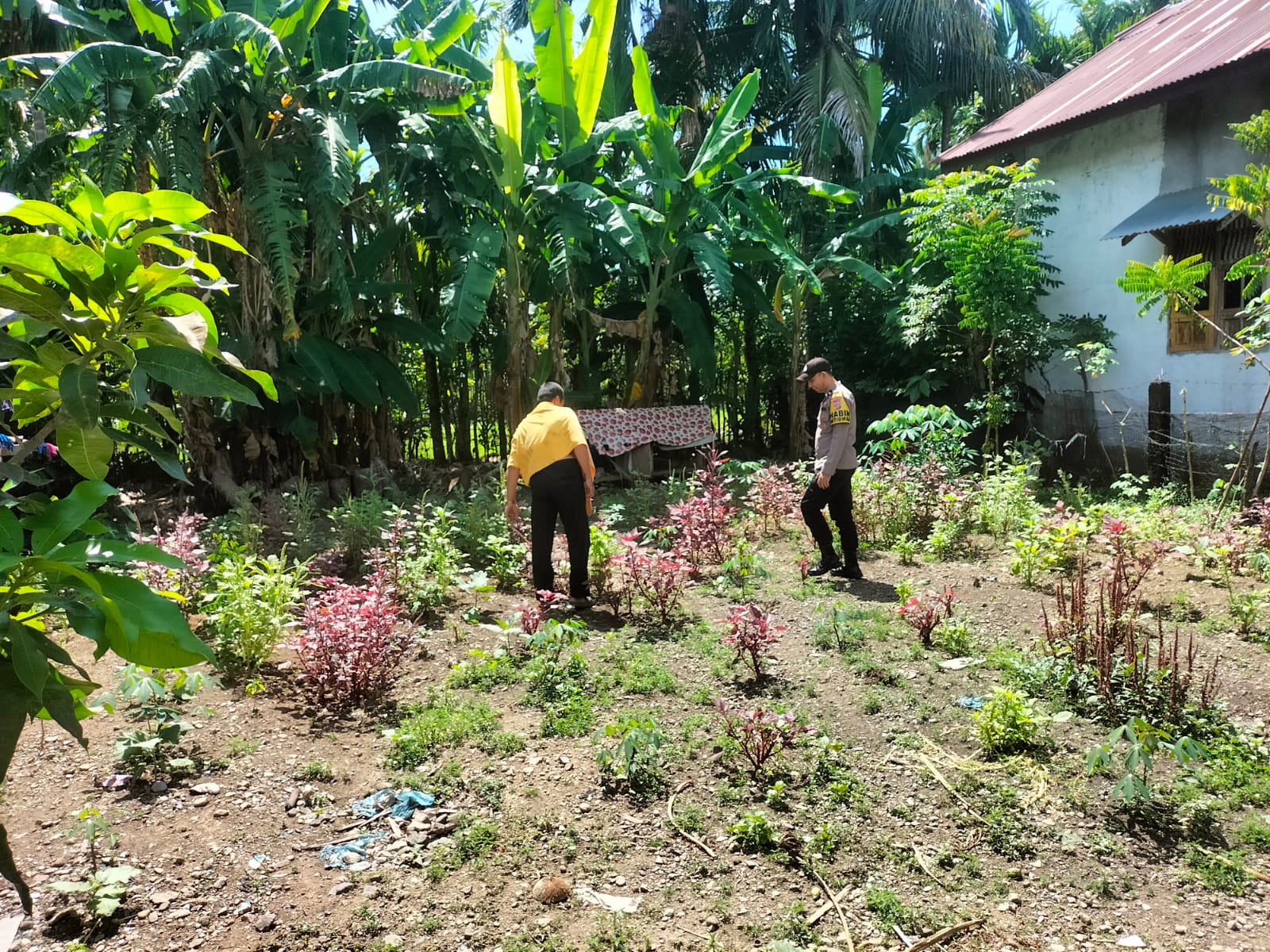 Bhabinkamtibmas Polsek Labuhanhaji Timur Ajak Warga Binaan Wujudkan Asta Cita Swasembada Pangan