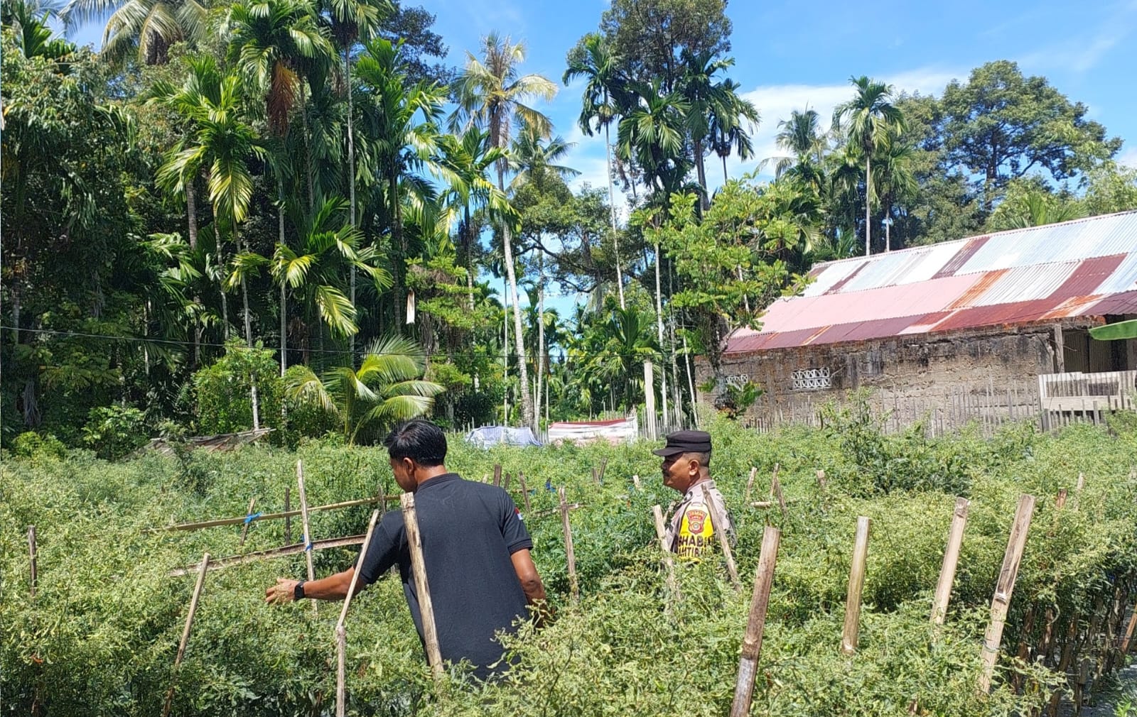 Bhabinkamtibmas Polsek Samadua Ajak Warga Manfaatkan Pekarangan untuk Ketahanan Pangan