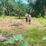 Dukung Asta Cita, Bhabinkamtibmas Polsek Labuhanhaji Timur Sambangi Kebun Warga