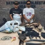Ungkap Perdagangan Satwa Liar, Polisi Amankan Dua Pelaku di Aceh Besar