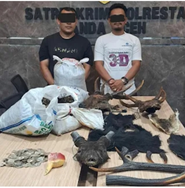 Ungkap Perdagangan Satwa Liar, Polisi Amankan Dua Pelaku di Aceh Besar