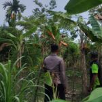 Bhabinkamtibmas Polsek Labuhanhaji Memotivasi Warga Manfaatkan Pekarangan Pangan Bergizi