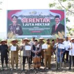 Polres Bireuen bersama Stakeholder Terkait Tanam Jagung Serentak 1 Juta Hektar, Dukung Swasembada Pangan 2025
