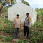 Bhabinkamtibmas Polsek Kluet Tengah Aktif Kunjungi Lahan Produktif Masyarakat Dalam Mendukung Ketahanan Pangan Nasional