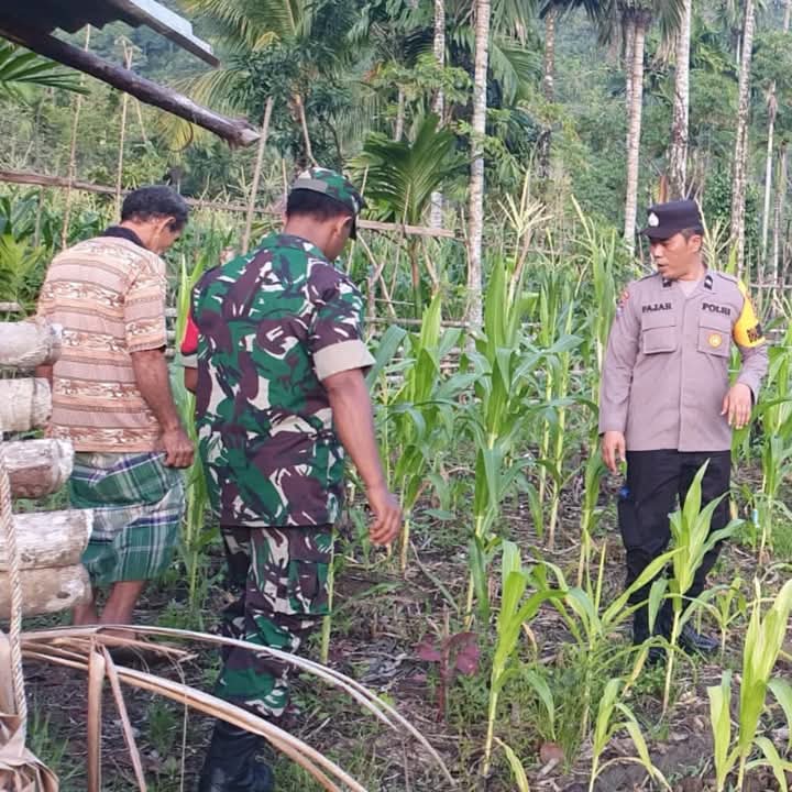 Dukung Program Swasembada Pangan, Bhabinkamtibmas Polsek Tapaktuan Beserta Babinsa Kunjungi Warga Petani