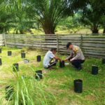 Bhabinkamtibmas Polsek Bakongan Timur Dampingi Warga dalam Program Ketahanan Pangan Nasional