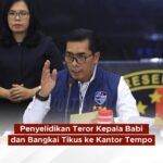 Penyelidikan Teror Kepala Babi dan Bangkai Tikus ke Kantor Tempo
