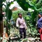 Bhabinkamtibmas Polsek Kluet Timur Ajak Warga Untuk Memanfaatkan Lahan Pekarangan