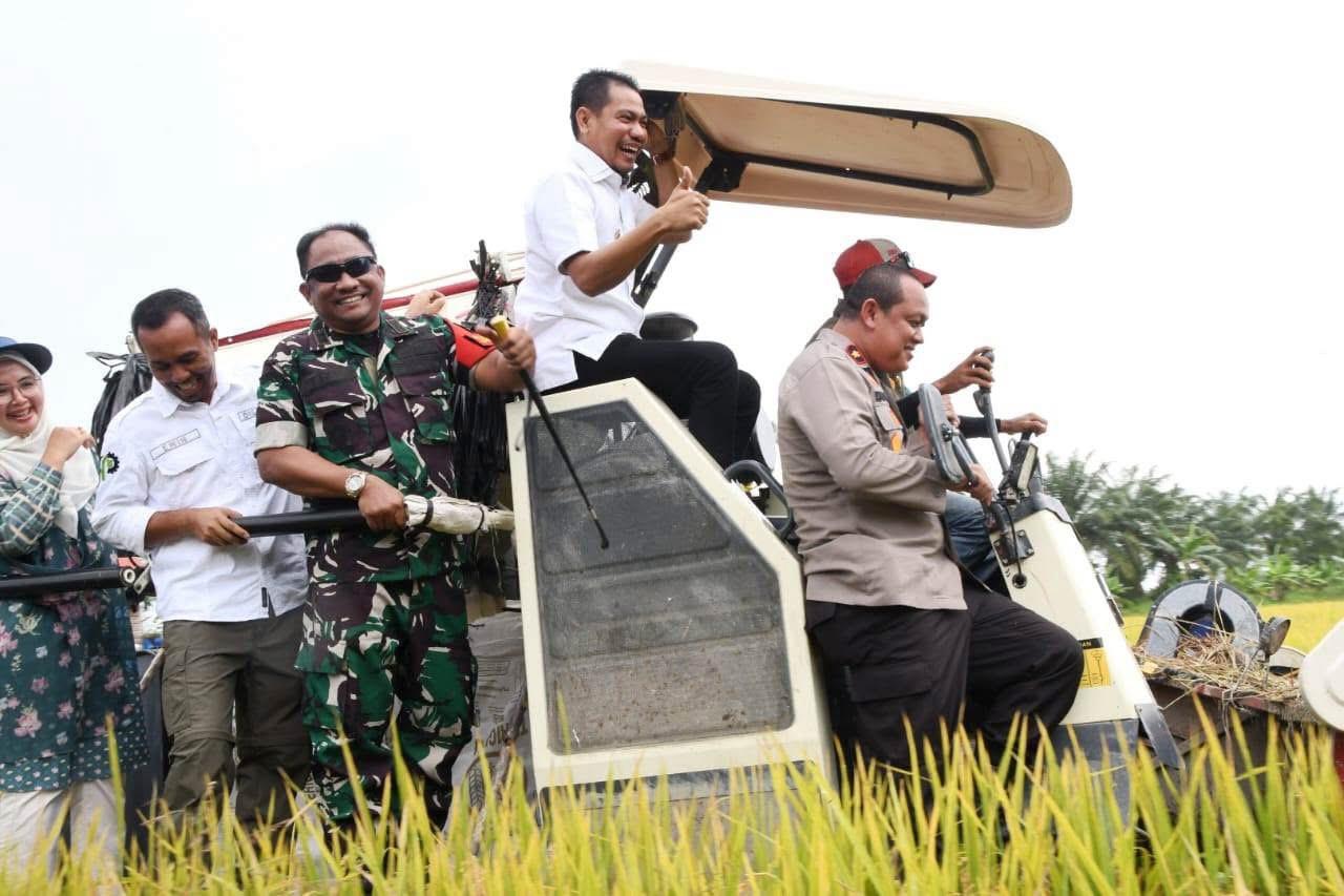 Waka Polres Aceh Timur Hadir Panen Raya Padi di Madat