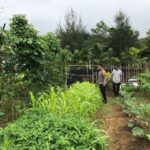 Bhabinkamtibmas Polsek Tapaktuan Dukung Warga Manfaatkan Lahan Pekarangan untuk Tanaman Bergizi