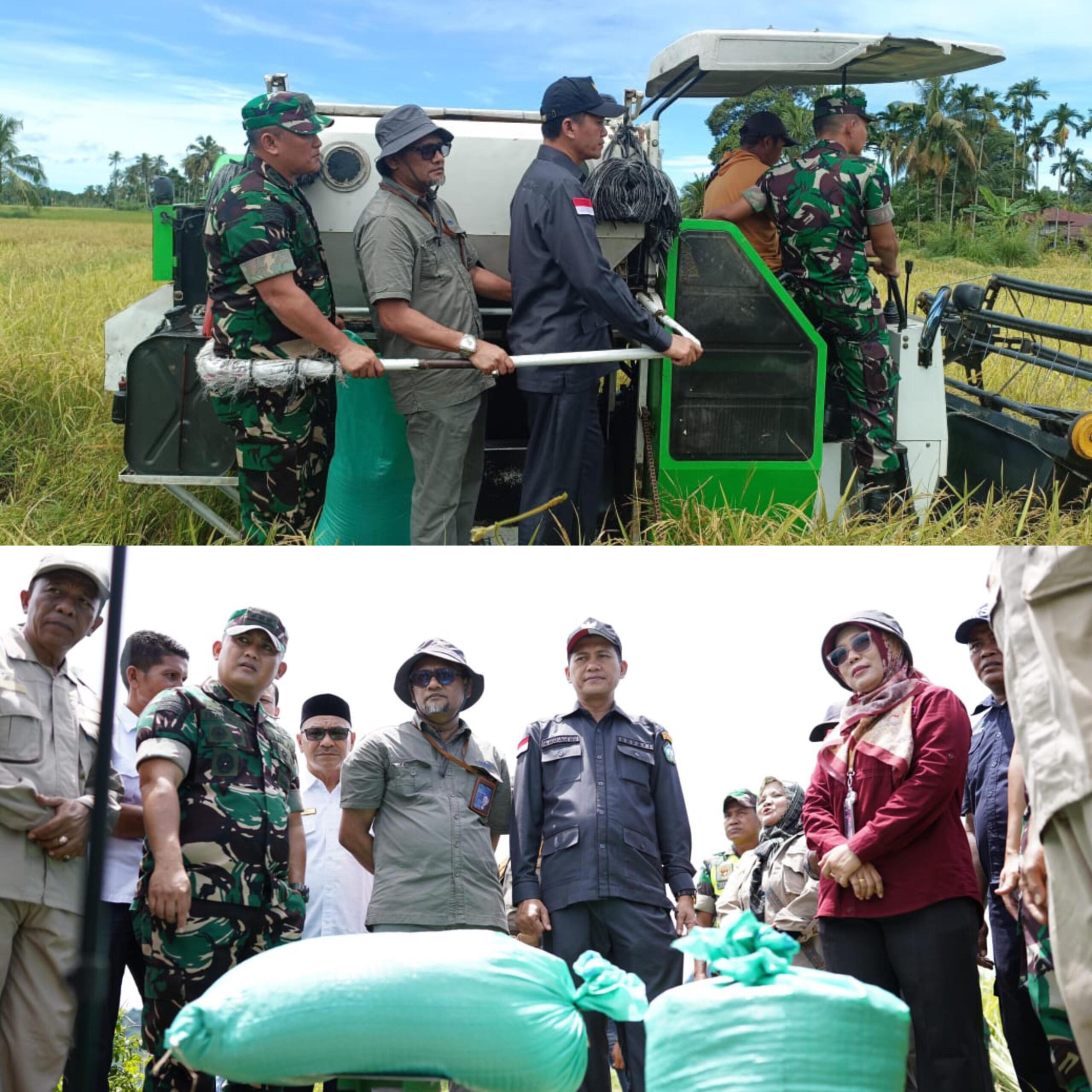 Aster Kodam IM Kunjungi Gudang Bulog dan Lahan Pertanian di Aceh Selatan, Optimalisasi Serab Gabah
