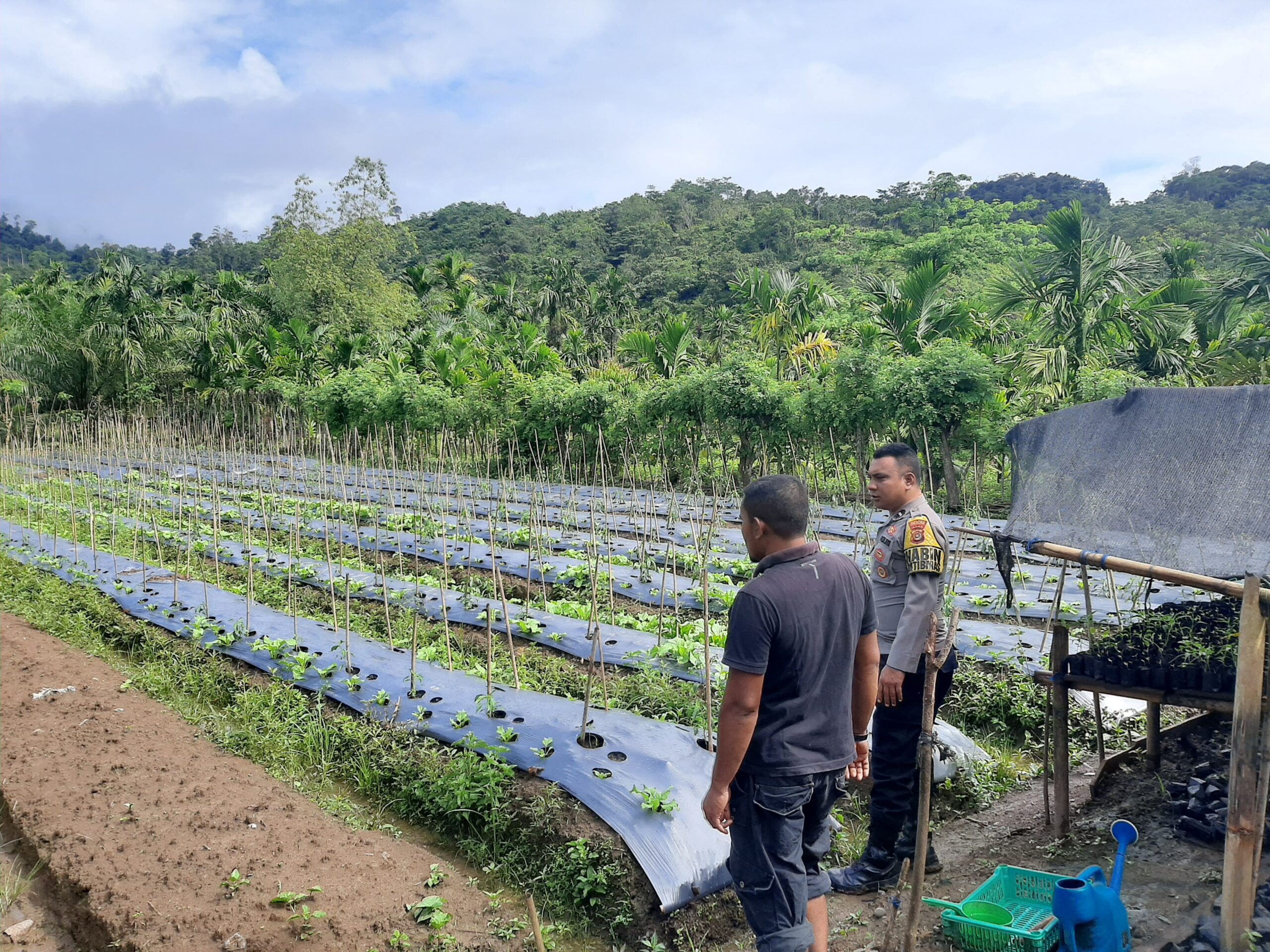 Dukung Ketahanan Pangan, Bhabinkamtibmas Polsek Kluet Utara Dampingi Petani di Wilayah Binaan