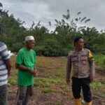 Dukung Ketahanan Pangan Nasional, Bhabinkamtibmas Polsek Trumon Timur Sambangi Lahan Pertanian Warga