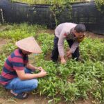 Bhabinkamtibmas Polsek Samadua Sambangi Lahan Produktif Warga, Dukung Ketahanan Pangan Nasional