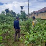 Bhabinkamtibmas Polsek Tapaktuan Dukung Pemanfaatan Lahan Produktif Untuk Ketahanan Pangan