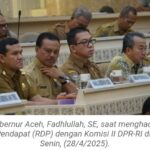 Wagub Fadhlullah Tegaskan Pentingnya Keberlanjutan Otsus di Aceh