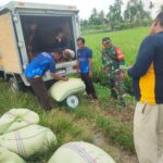 Tembus 151,55% dari Target, Kodam IM Wujudkan Komitmen Ketahanan Pangan Bersama BULOG dan Pemda